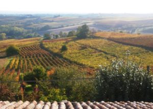 Vista paesaggio dall'agriturismo
