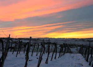 Tramonto su paesaggio innevato
